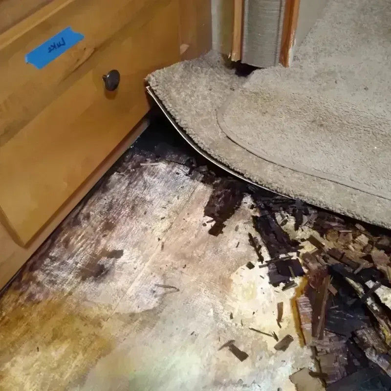 Wood Floor Water Damage in Banks County, GA